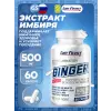 Ginger 500 mg