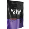 Muscle Mass