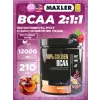 100% Golden BCAA 12000 mg