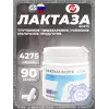 ЛАКТАЗА ФОРТЕ