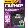Special Mass Gainer