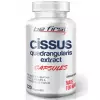 Cissus Quadrangularis Extract (экстракт циссуса)
