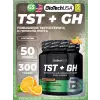TST+GH