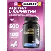Acetyl L-Carnitine 500 mg