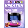 Animal Creatine Chews 5000 mg
