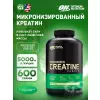 CREATINE POWDER Micronized