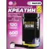 100% Golden Micronized Creatine