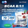 BCAA Instantized powder