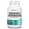 EggShell membrane 550 mg