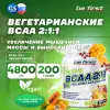 BCAA 2:1:1 Vegan powder