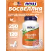 Boswellia Extract 250 mg