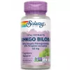 Ginkgo Biloba Leaf Extract 60 mg