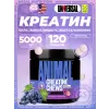 Animal Creatine Chews 5000 mg