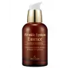 Wrinkle System Essence