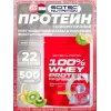 100% Whey Protein Professional