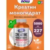 Creatine Monohydrate Powder