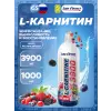 L-Carnitine 3900 mg