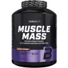 Muscle Mass