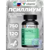Псиллиум детокс