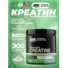 Creatine Micronized Powder