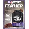 Muscle Mass
