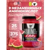 Amino X EAAs