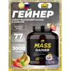MASS GAINER