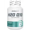 H2O Q10