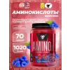 Amino-X 2:1:1