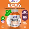 Branched-Chain Amino Acids