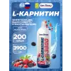 L-Carnitine 3900 mg