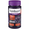 Immuno Forte Gummies