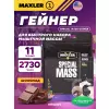 Special Mass Gainer