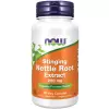 Nettle Root Extract 250 mg