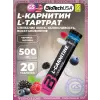 L-Carnitine 500 mg