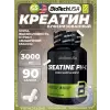 Creatine PH-X 3000 mg