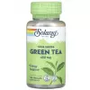 Green Tea 450 mg