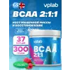 BCAA 2:1:1