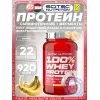 100% Whey Protein Professional