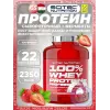 100% Whey Protein Professional