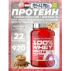 100% Whey Protein Professional