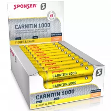 L-CARNITINE 1000 TRINKAMPULLE
