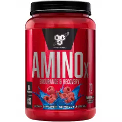 BSN Amino-X 2:1:1 BCAA 2:1:1