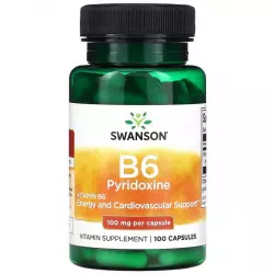Swanson Vitamin B6 Pyridoxine 100 mg Витамины группы B