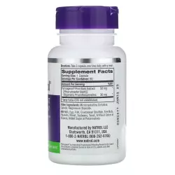 Natrol Pycnogenol 50mg противовоспалительное Антиоксиданты