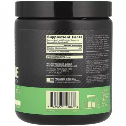 OPTIMUM NUTRITION CREATINE POWDER Micronized Микронизированный креатин