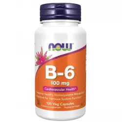 NOW FOODS B-6 100 мг Витамины группы B