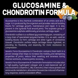 GENETIC FORCE GLUCOSAMINE & CHONDROITIN Глюкозамин хондроитин