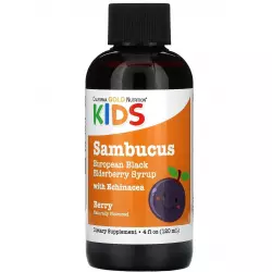 California Gold Nutrition Children Sambucus Elderberry Syrup, 4 fl oz (120 ml) Для иммунитета