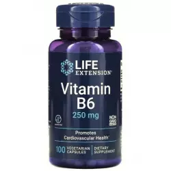Life Extension Vitamin B6 250 mg Витамины группы B